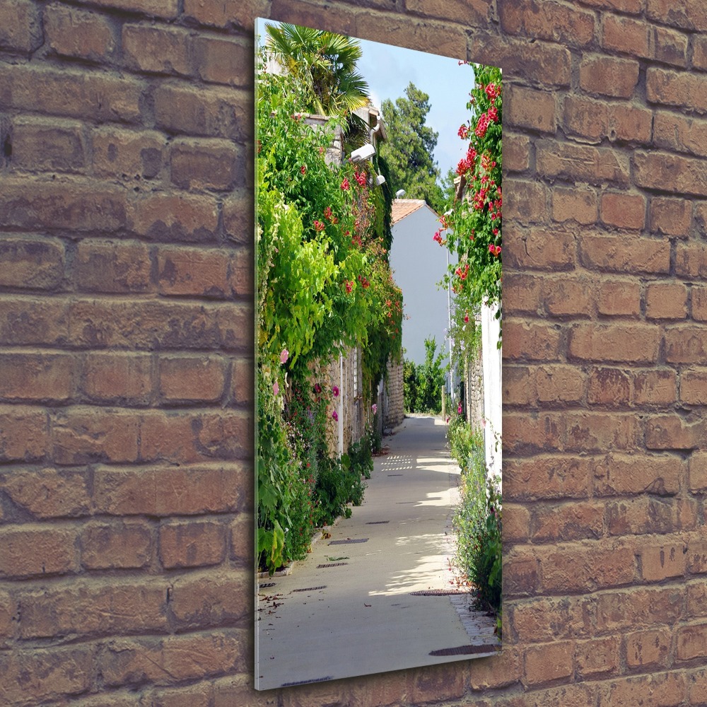 Print on acrylic French streets