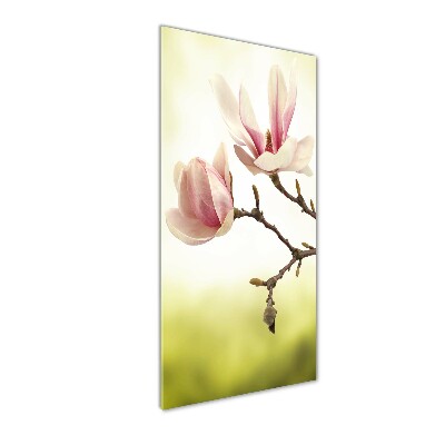 Print on acrylic Magnolia flowers