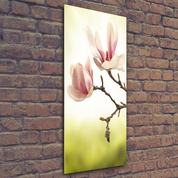 Print on acrylic Magnolia flowers