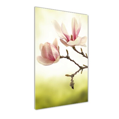 Print on acrylic Magnolia flowers