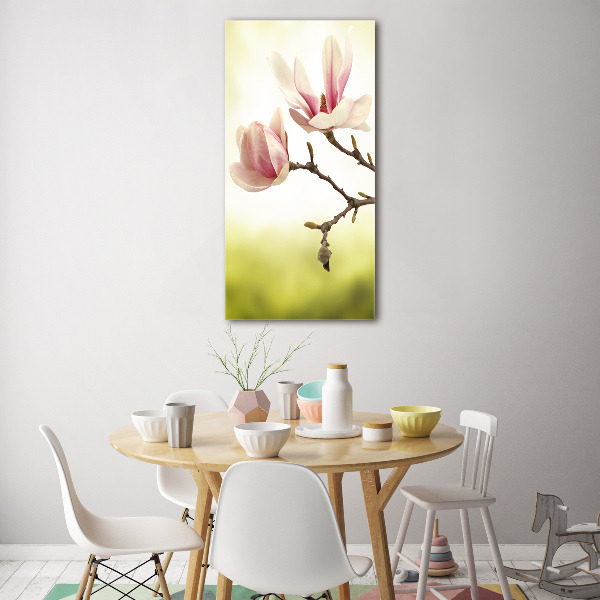 Print on acrylic Magnolia flowers