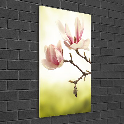 Print on acrylic Magnolia flowers