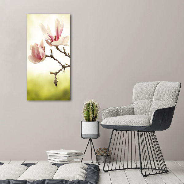 Print on acrylic Magnolia flowers