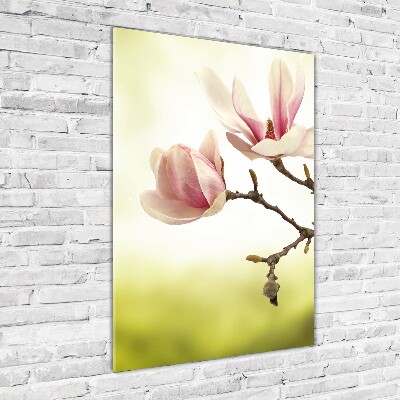 Print on acrylic Magnolia flowers