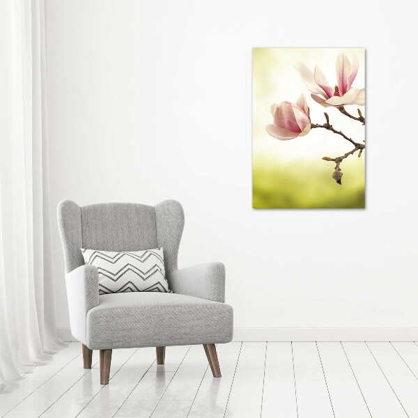 Print on acrylic Magnolia flowers