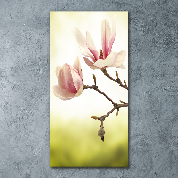 Print on acrylic Magnolia flowers