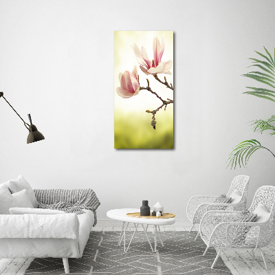 Print on acrylic Magnolia flowers