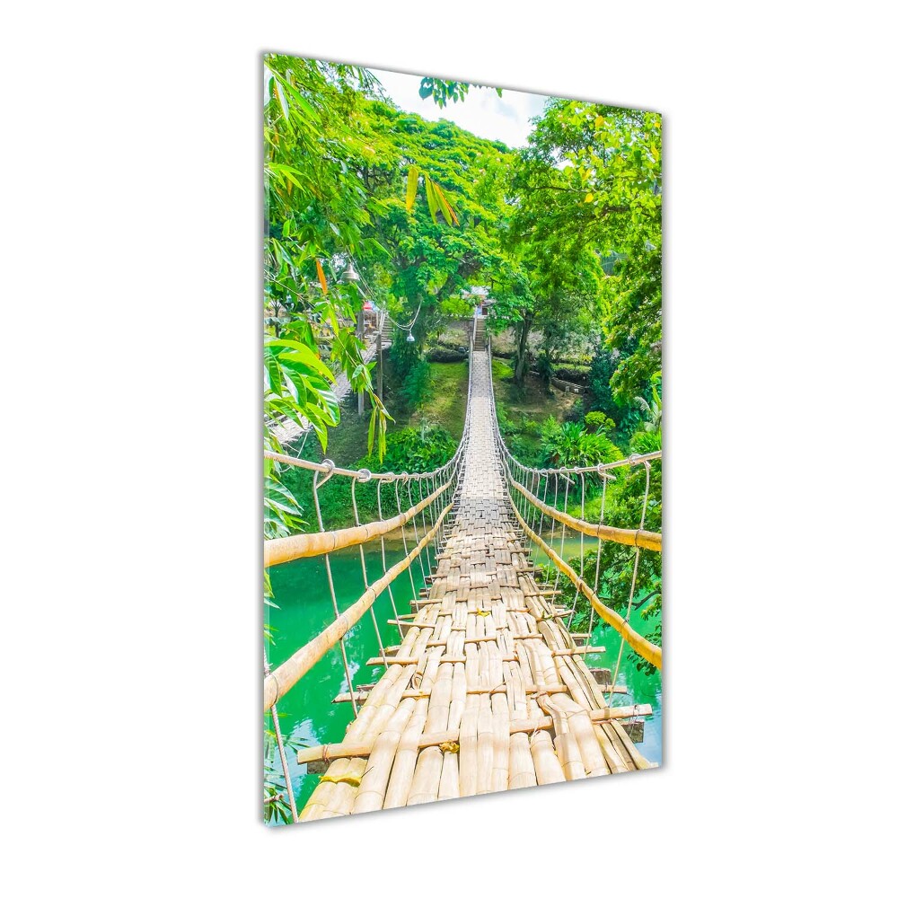 Wall art acrylic Hanging bridge