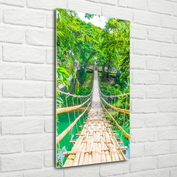 Wall art acrylic Hanging bridge