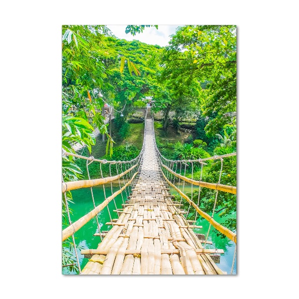 Wall art acrylic Hanging bridge