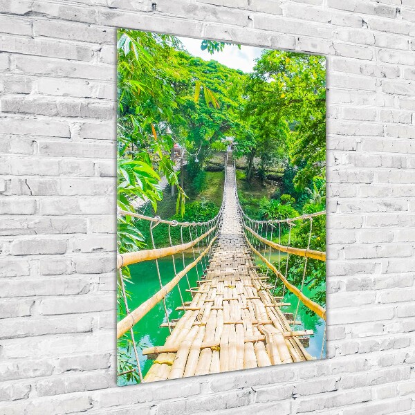 Wall art acrylic Hanging bridge