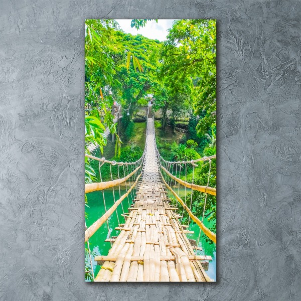 Wall art acrylic Hanging bridge