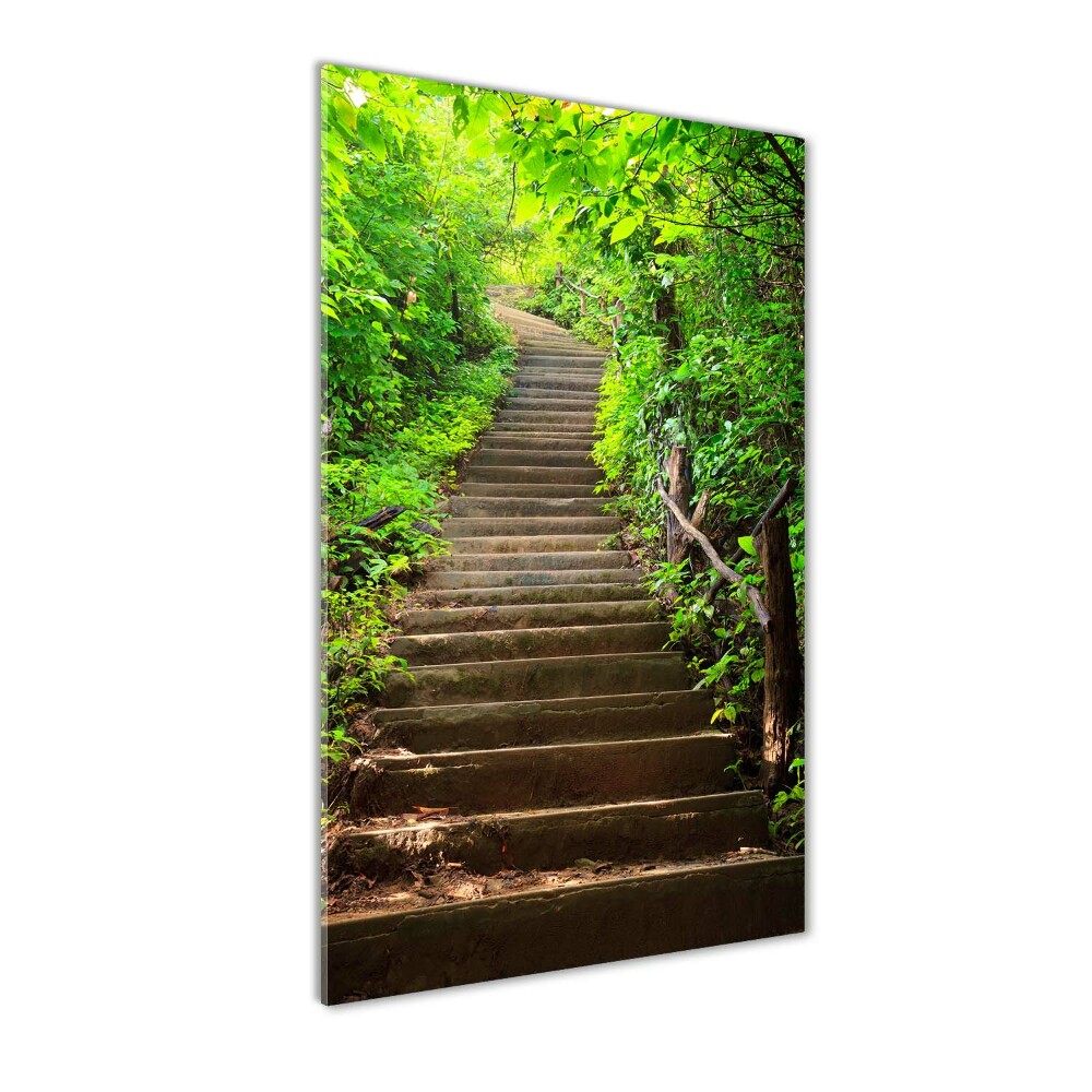 Print on acrylic Stairs to the forest