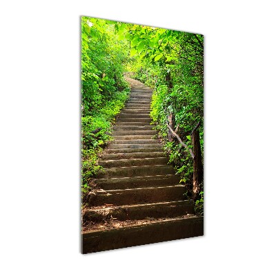 Print on acrylic Stairs to the forest