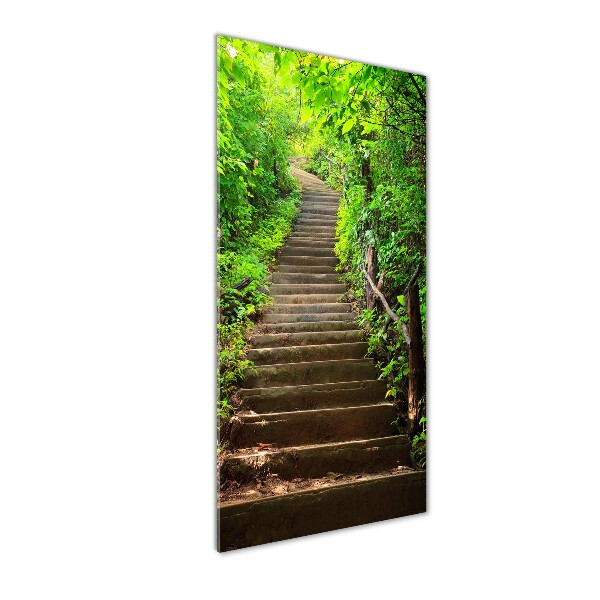 Print on acrylic Stairs to the forest