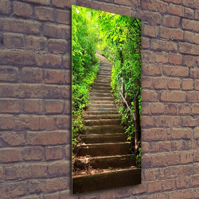 Print on acrylic Stairs to the forest