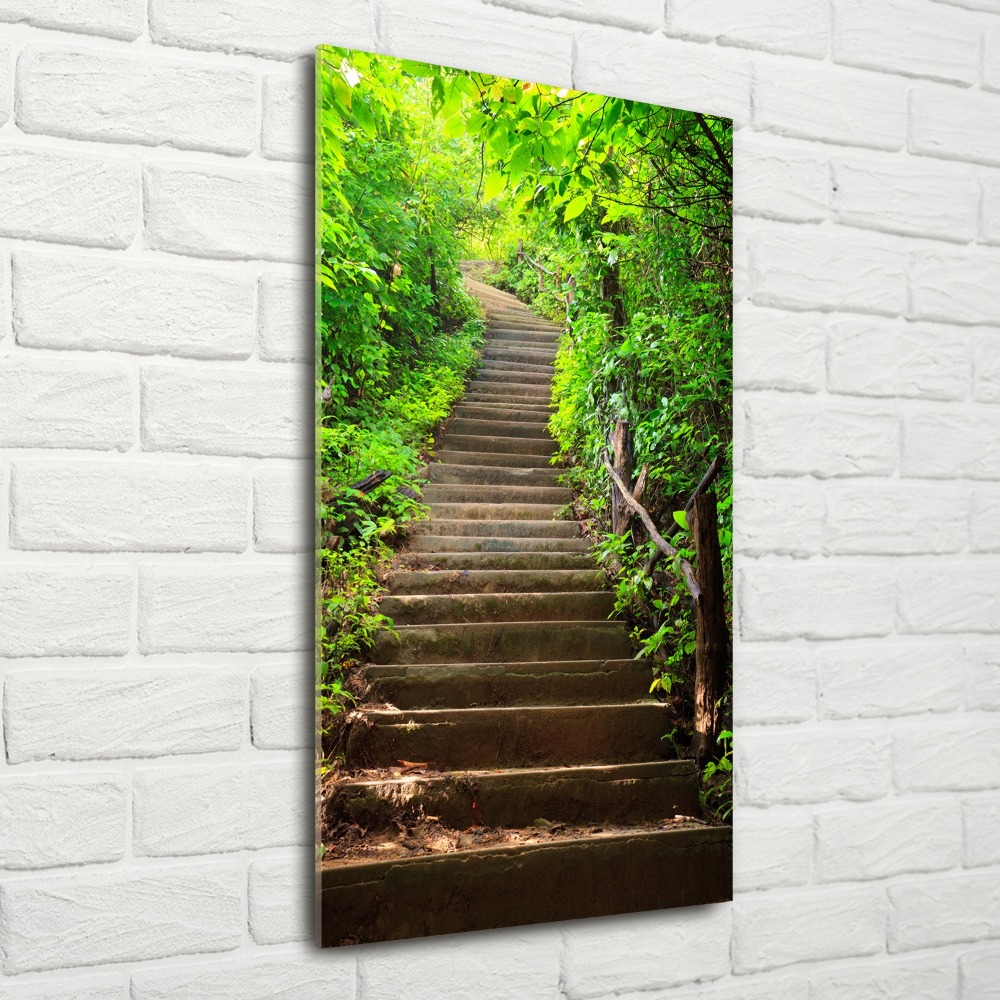 Print on acrylic Stairs to the forest