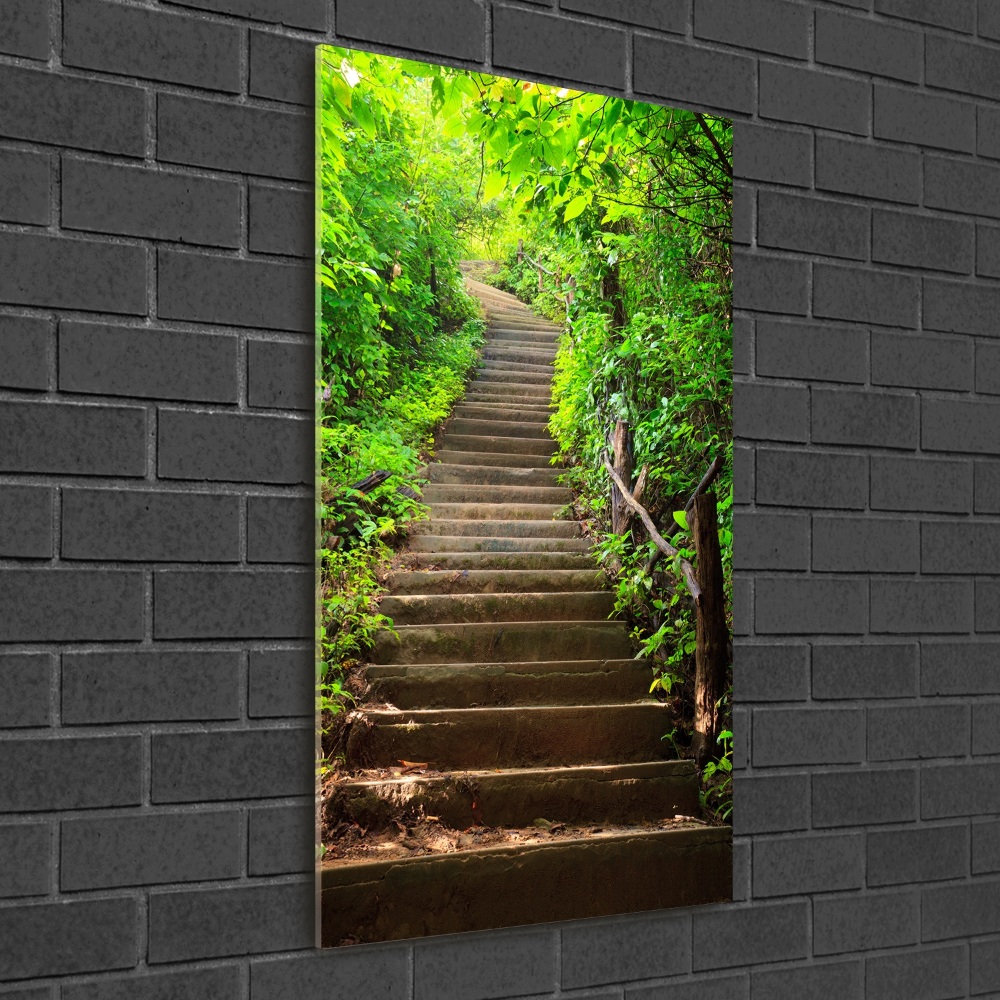 Print on acrylic Stairs to the forest