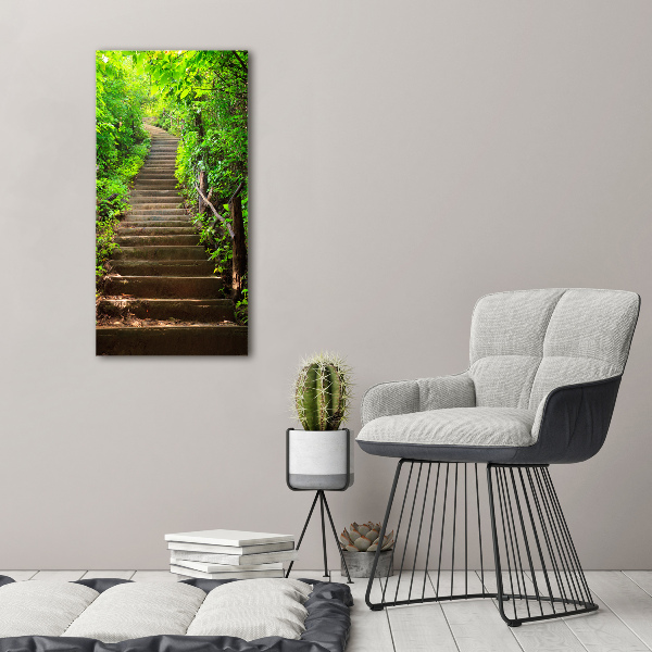 Print on acrylic Stairs to the forest