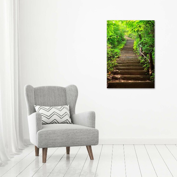 Print on acrylic Stairs to the forest