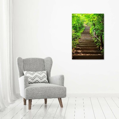 Print on acrylic Stairs to the forest