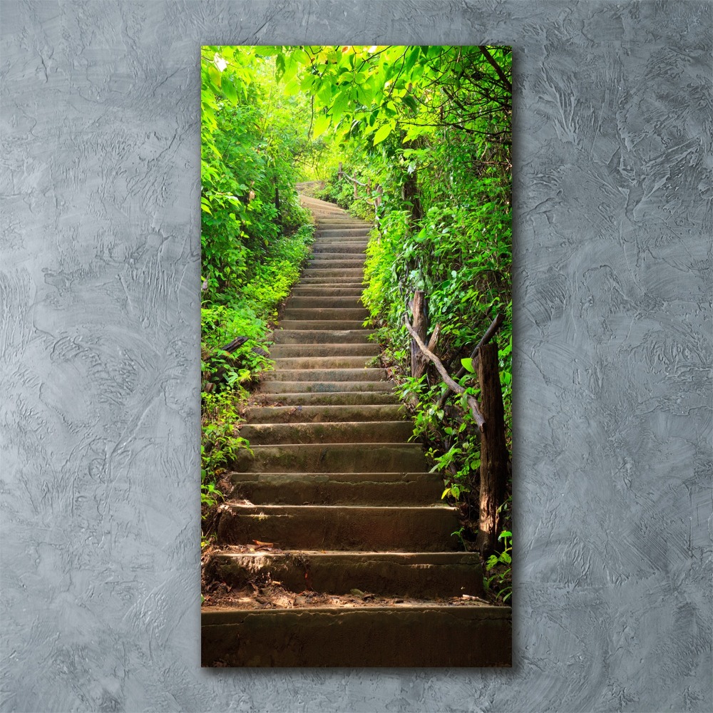 Print on acrylic Stairs to the forest