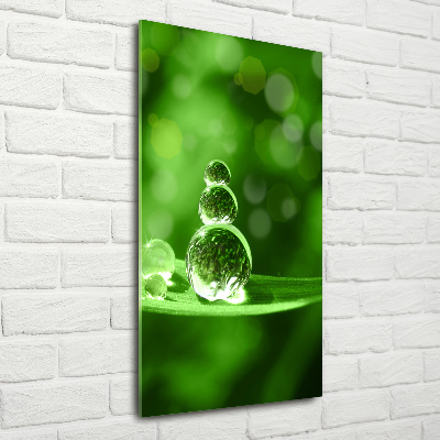 Print on acrylic Drops on the grass