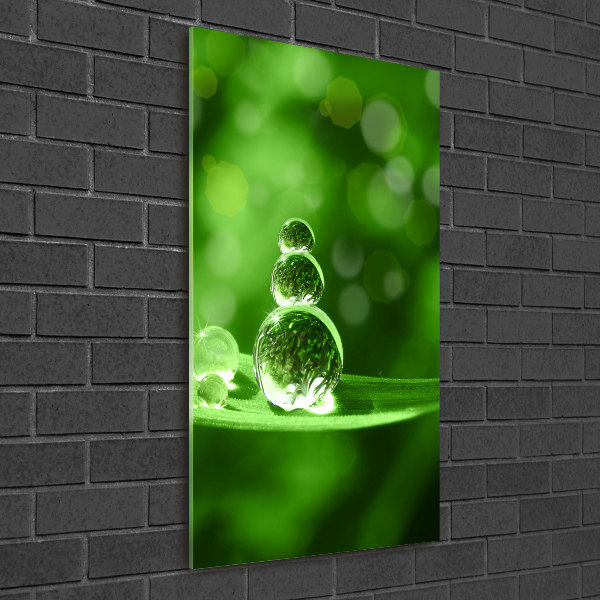 Print on acrylic Drops on the grass