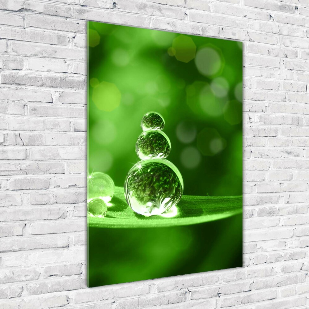 Print on acrylic Drops on the grass