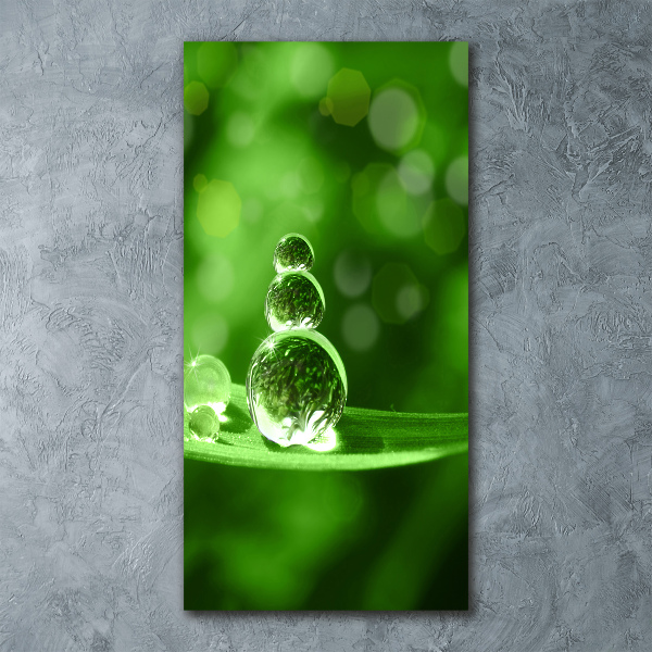 Print on acrylic Drops on the grass