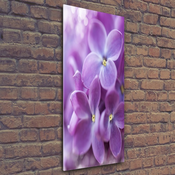 Print on acrylic Lilac flowers