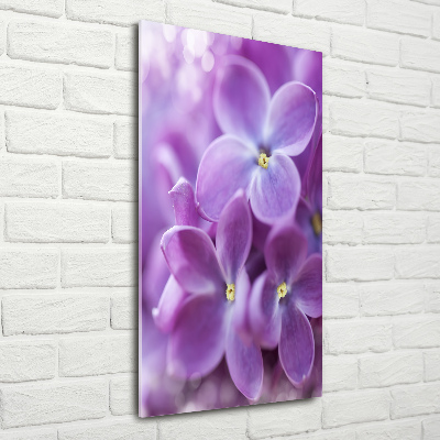 Print on acrylic Lilac flowers