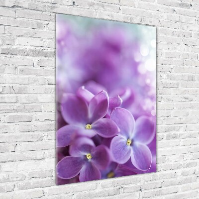 Print on acrylic Lilac flowers