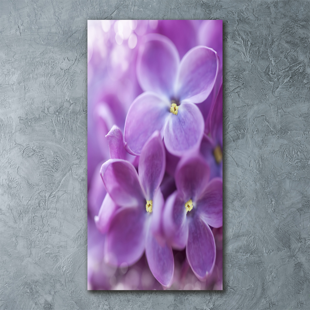 Print on acrylic Lilac flowers