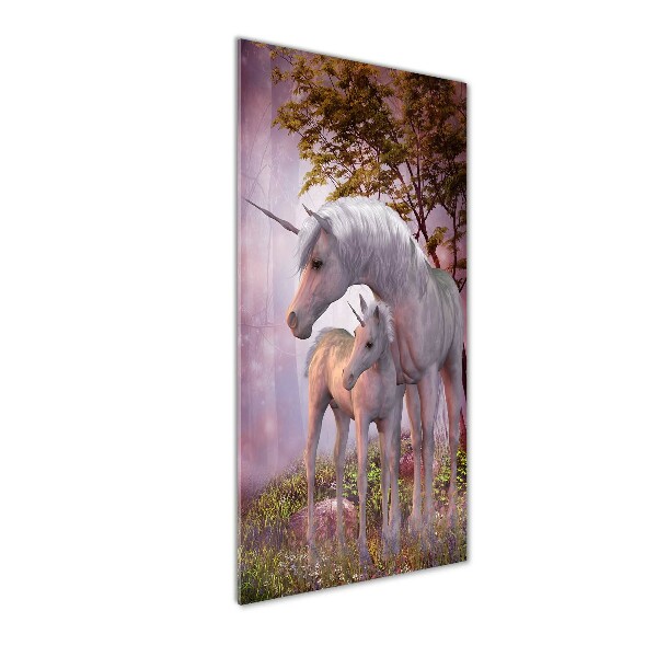 Wall art acrylic Unicorn