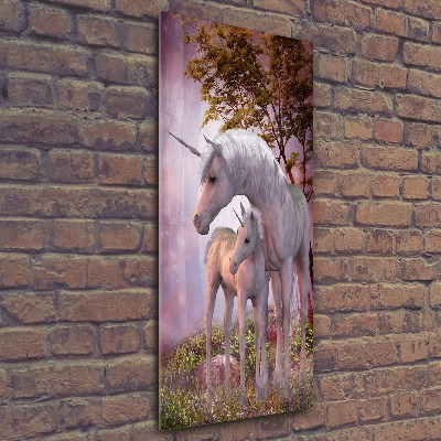 Wall art acrylic Unicorn