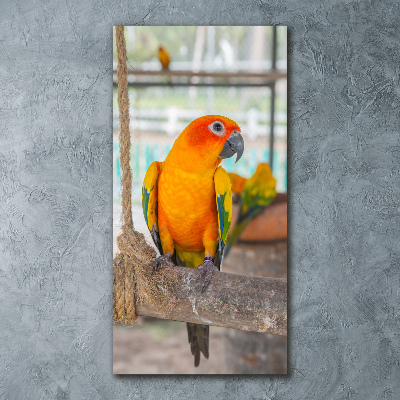 Print on acrylic Parrot