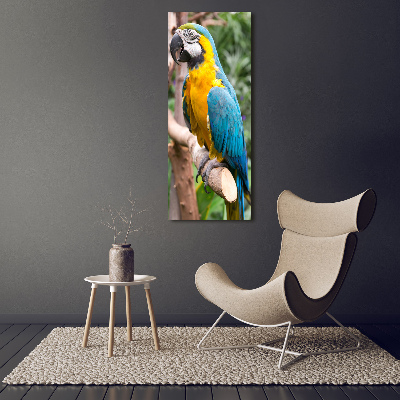 Acrylic print Ara parrot