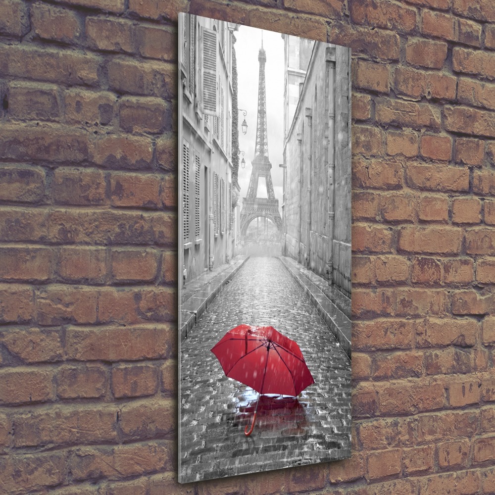 Wall art acrylic France umbrella