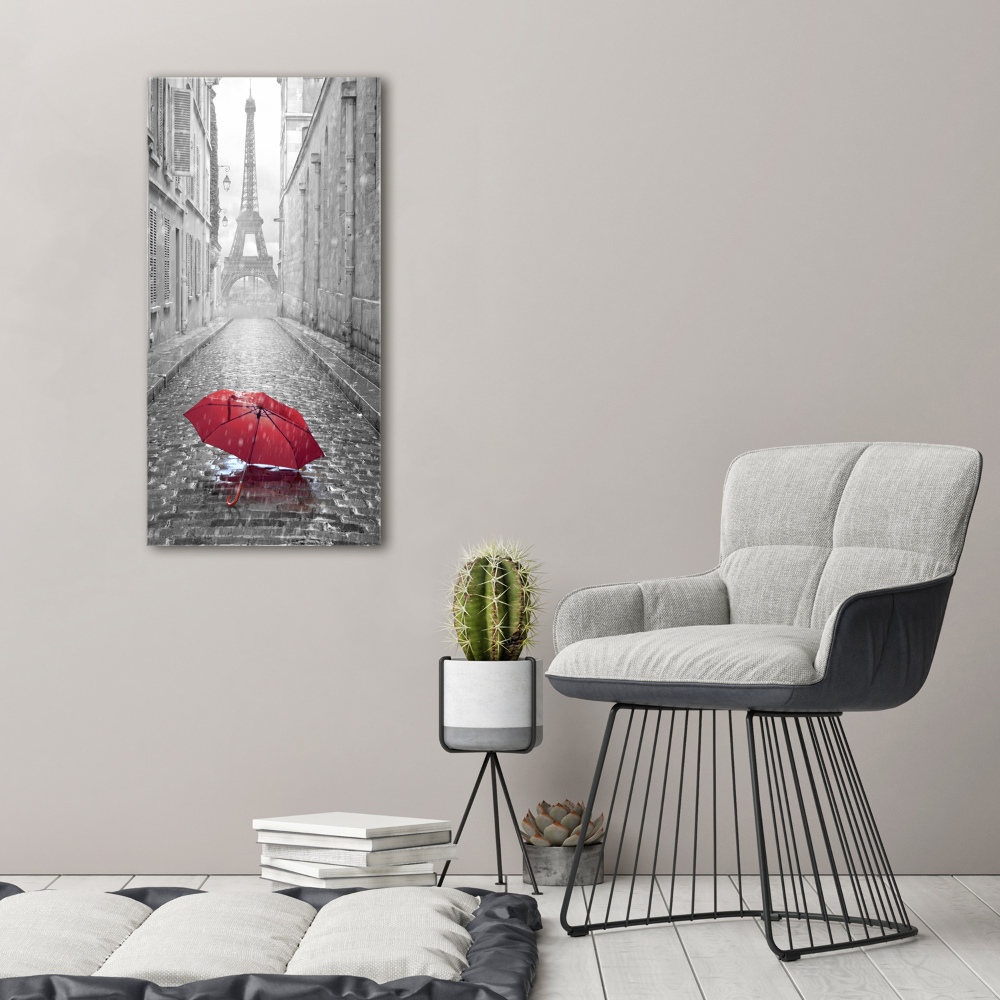 Wall art acrylic France umbrella