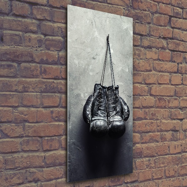 Acrylic wall art Boxing gloves