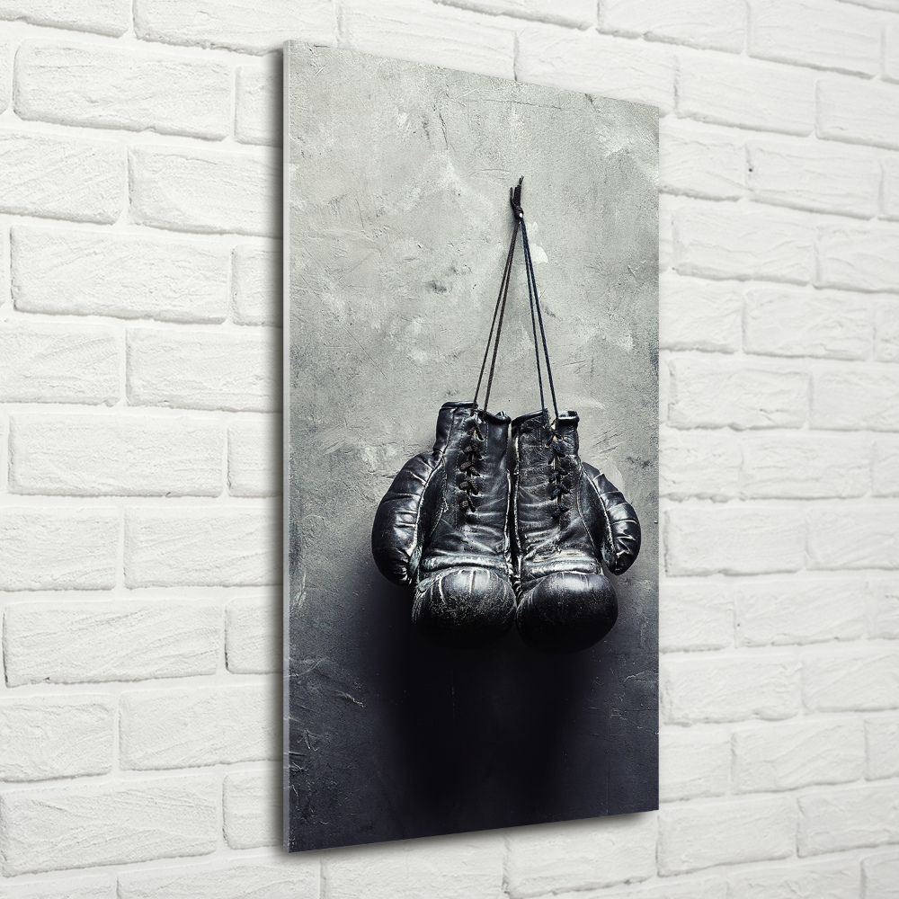 Acrylic wall art Boxing gloves