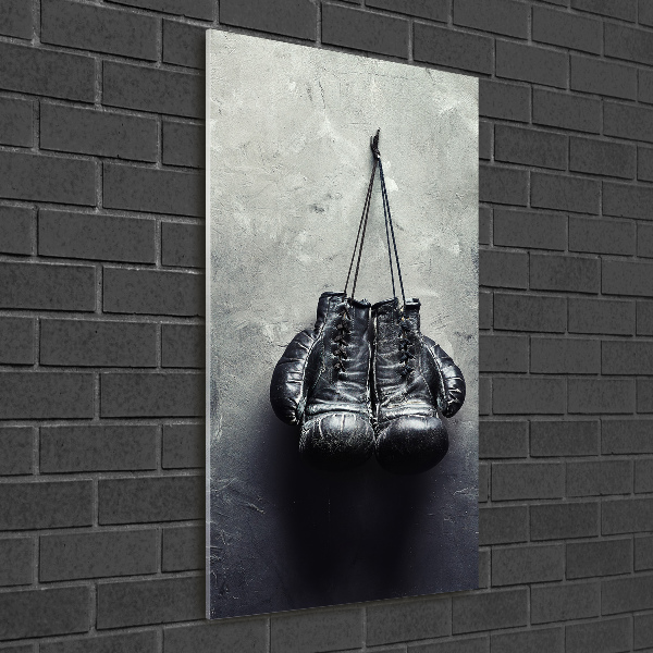 Acrylic wall art Boxing gloves