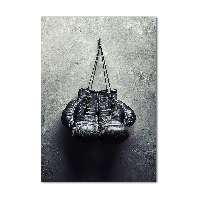 Acrylic wall art Boxing gloves