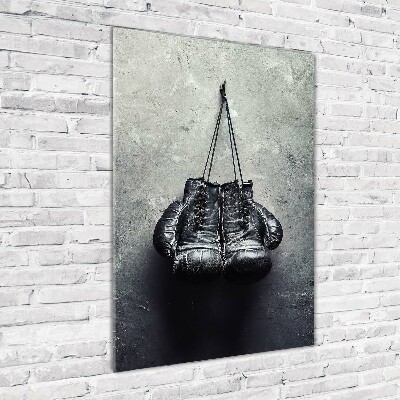 Acrylic wall art Boxing gloves