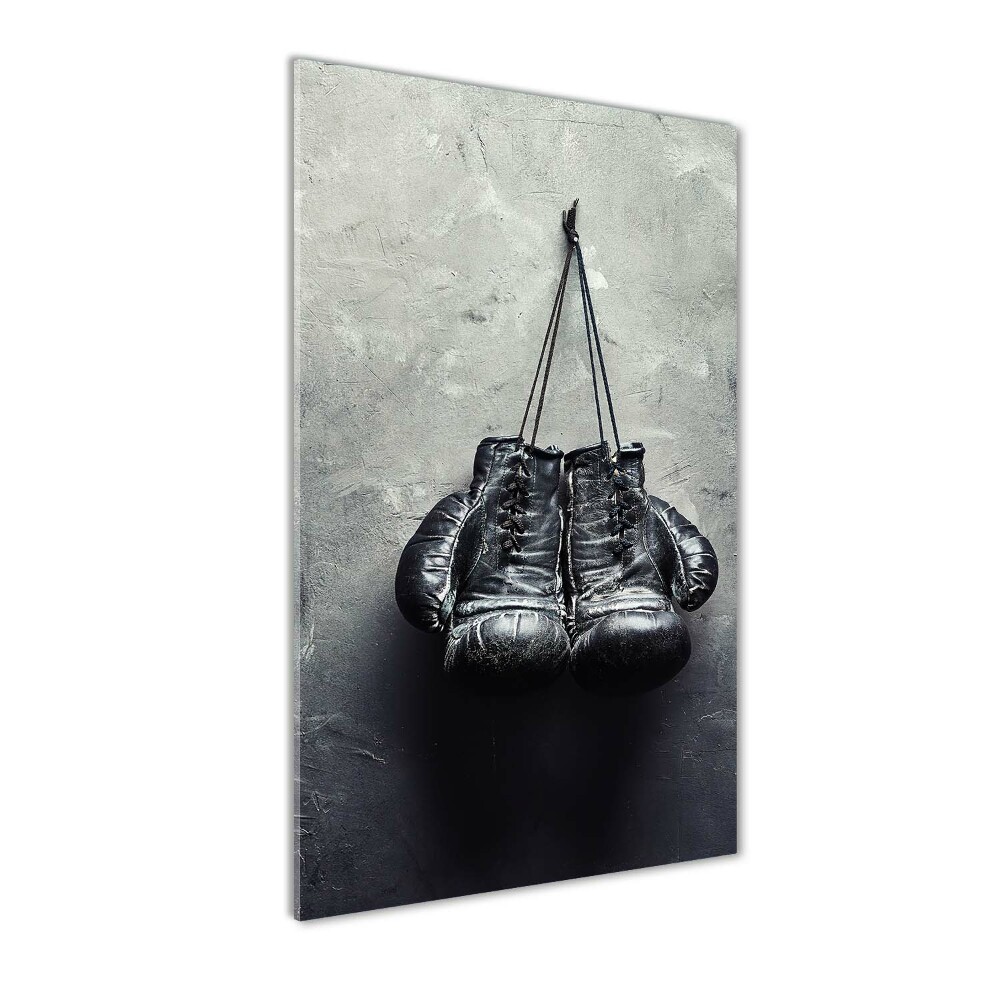 Acrylic wall art Boxing gloves