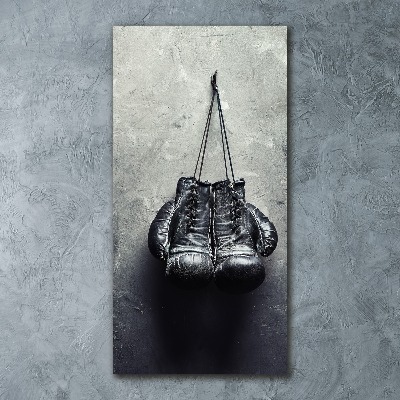 Acrylic wall art Boxing gloves