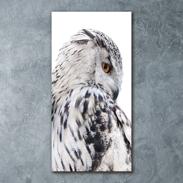 Acrylic print White owl