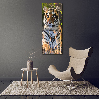 Acrylic print Tiger