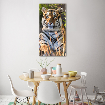 Acrylic print Tiger